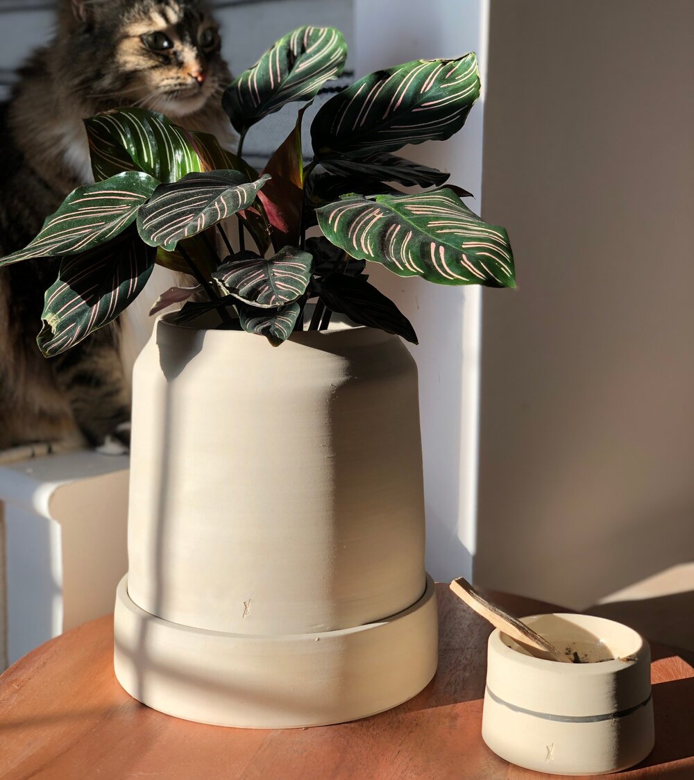 L'impure - Self-watering Planter (Tall)