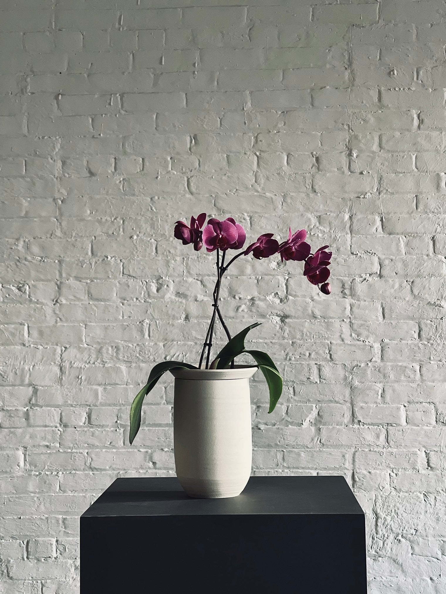 L’Intemporel - Orchid planters