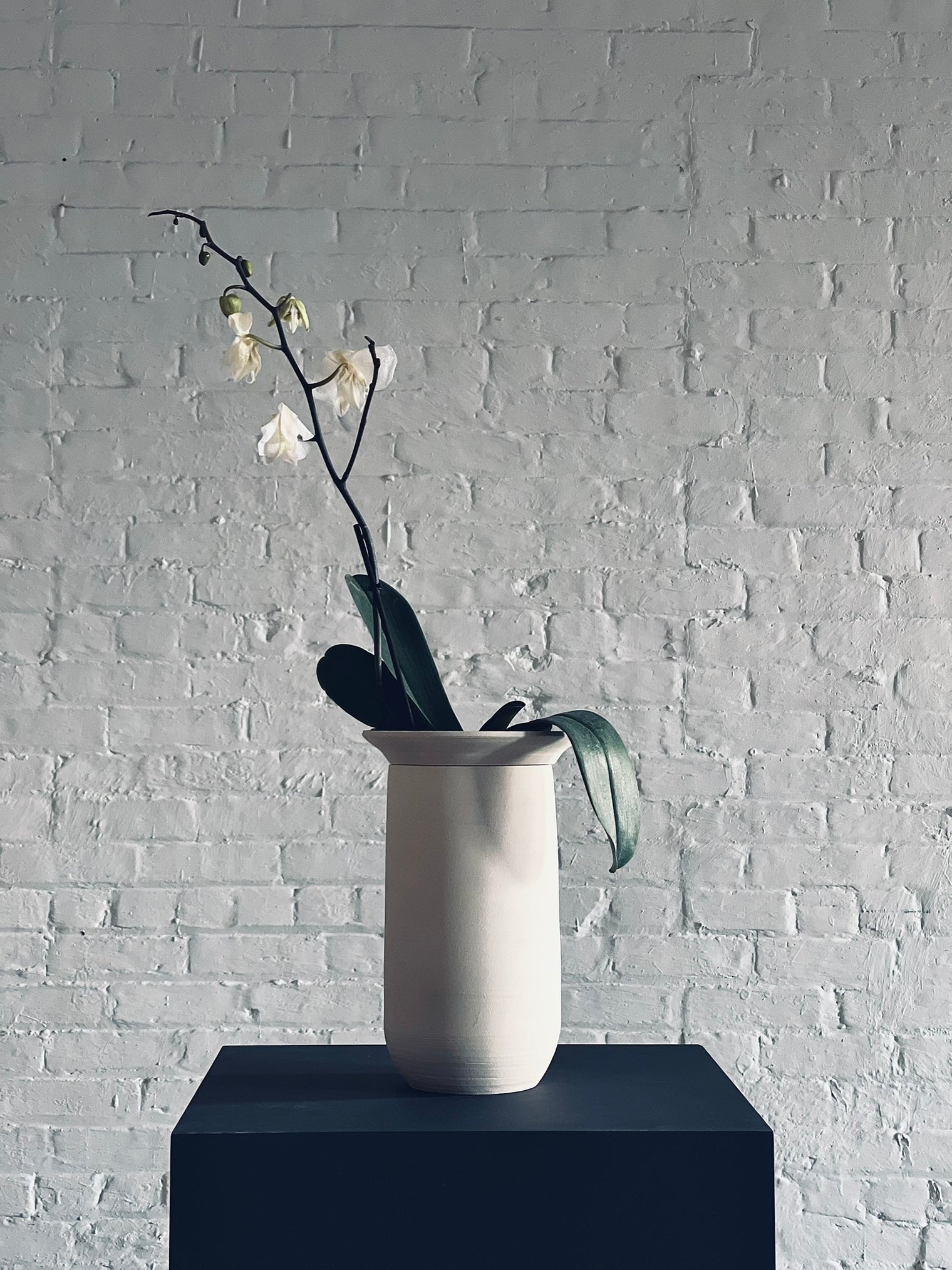 L’Intemporel - Orchid planters