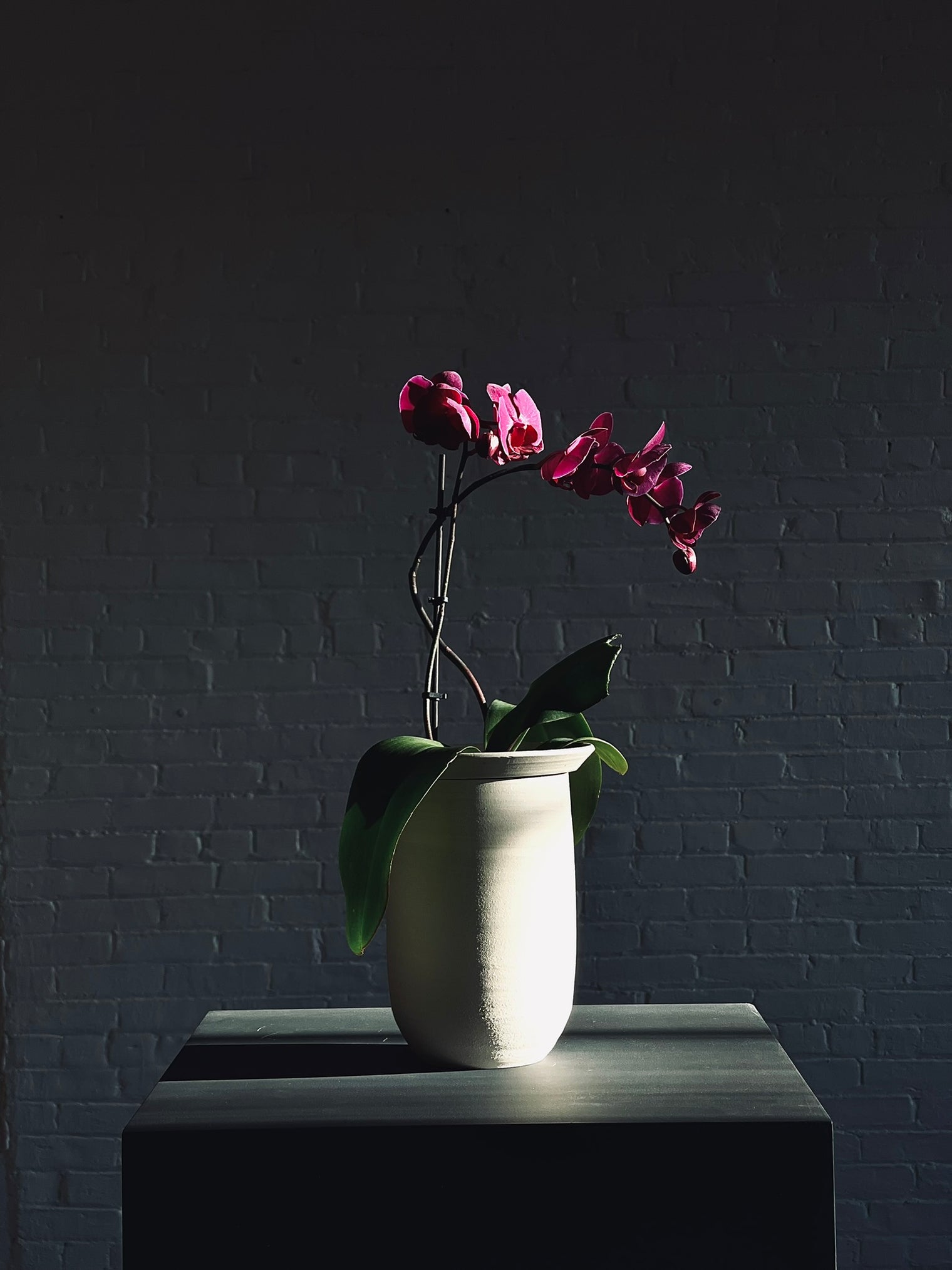 L’Intemporel - Orchid planters