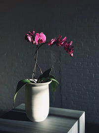 L’Intemporel - Orchid planters