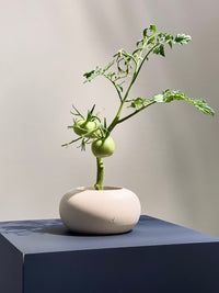 Minimalist handmade ceramic ikebana vase